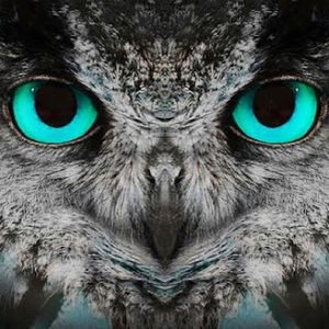 Meet your Posher, Tabatha